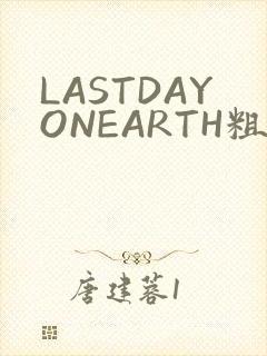 LASTDAYONEARTH粗暴