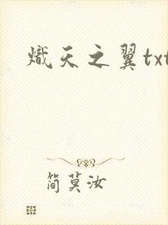 炽天之翼txt