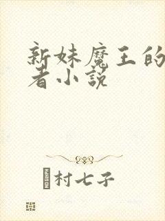 新妹魔王的契约者小说