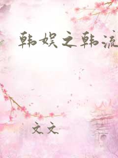 韩娱之韩流全球