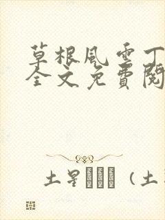 草根风云丁长生全文免费阅读