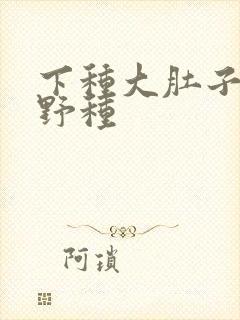 下种大肚子怀孕野种