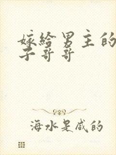 嫁给男主的病秧子哥哥