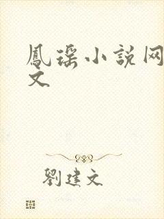 凤瑶小说网高辣文