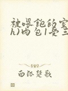 被喂饱的室友(h)肉包1受三攻