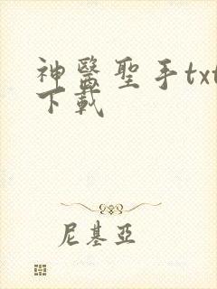 神医圣手txt下载