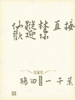 仙踪林直接入口欢迎你