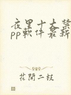 夜里十大禁用app软件最新章节