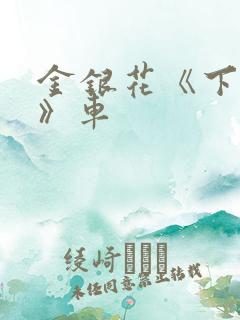 金银花《下厨房》车