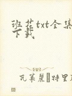 班花txt全集下载