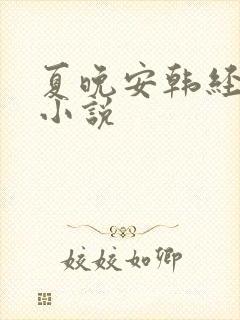 夏晚安韩经年的小说