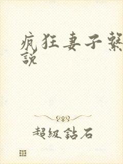 疯狂妻子系列小说