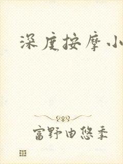深度按摩小说