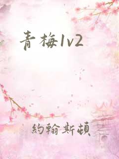 青梅1v2