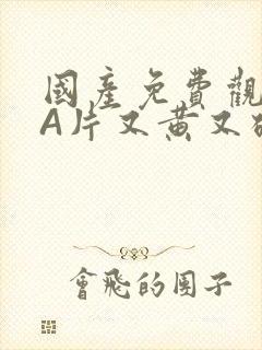 国产免费观看黄A片又黄又硬小说