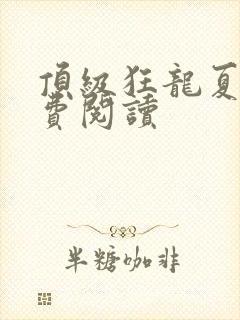 顶级狂龙夏天免费阅读