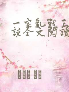 一家乱战王芳小说全文阅读