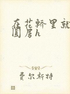 在花轿里就开始圆房h