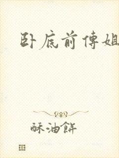 卧底前传姐妹篇