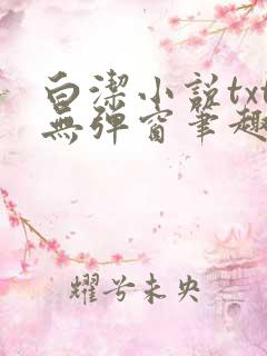 白洁小说txt无弹窗笔趣阁