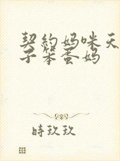 契约妈咪天才儿子笨蛋妈