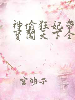 神偷狂妃带着宝宝闯天下全文免费阅读