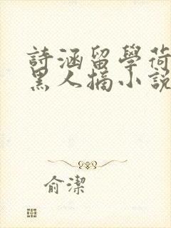 诗涵留学荷兰被黑人摘小说