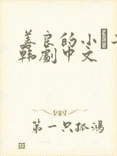 善良的小峓子2韩剧中文