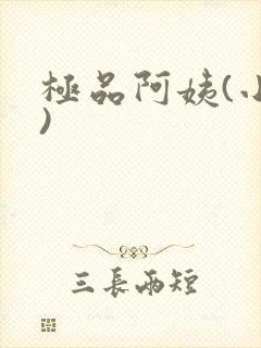 极品阿姨(小说)