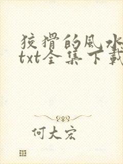 狡猾的风水相师txt全集下载