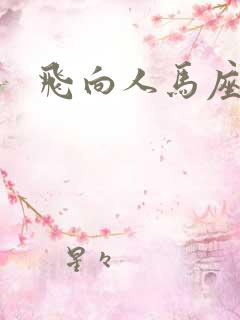 飞向人马座