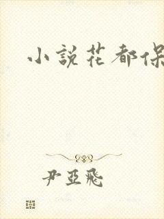 小说花都保镖