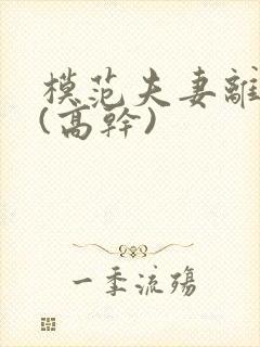 模范夫妻离婚了(高干)