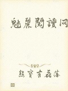 魅丽阅读网