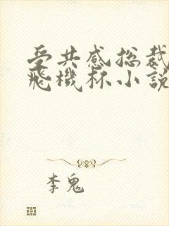 受共感总裁攻的飞机杯小说叫什么