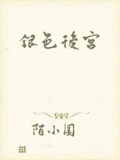 银色后宫