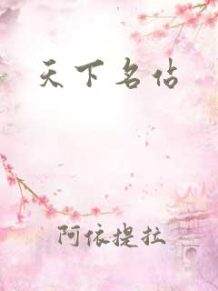 天下名站