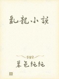 乱龙小说