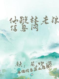 仙踪林老狼贰佰信息网