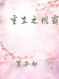 重生之权霸天下