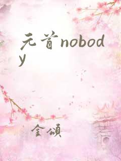 元首nobody