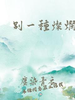 别一种灿烂生活