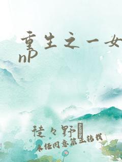 重生之一女九龙nP