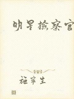 明星检察官小说