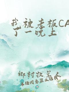 我被老板CAO了一晚上