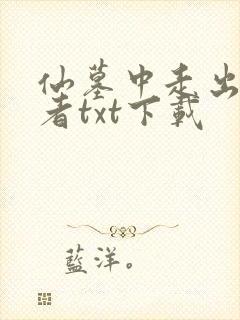 仙墓中走出的强者txt下载