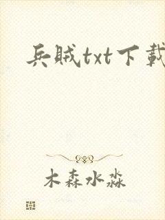 兵贼txt下载