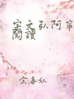 宇文弘阿宁全文阅读