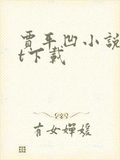 贾平凹小说txt下载