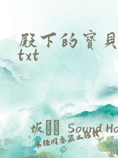 殿下的宝贝公主txt